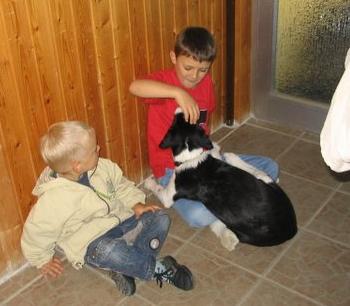Lennart, Lars und Olli